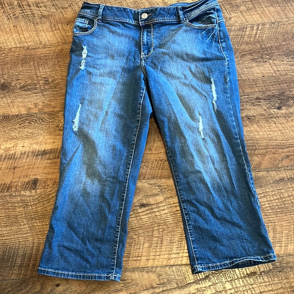 Lame Bryant Genius Fit Jeans